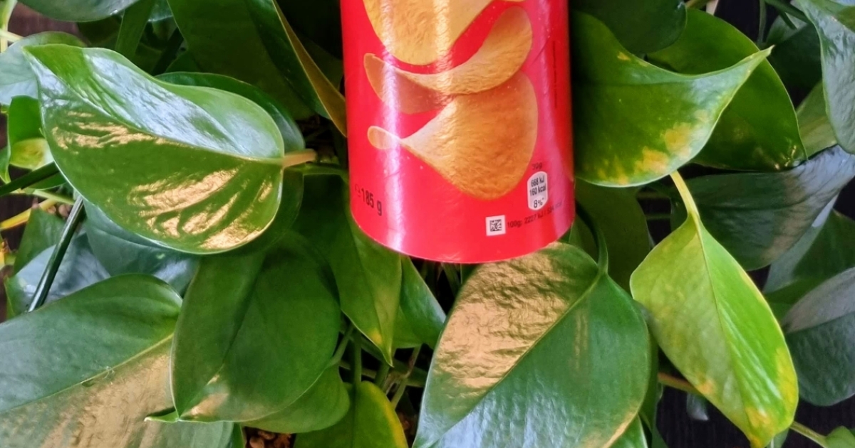 Pringles tube recyclable from now on! Better sorting