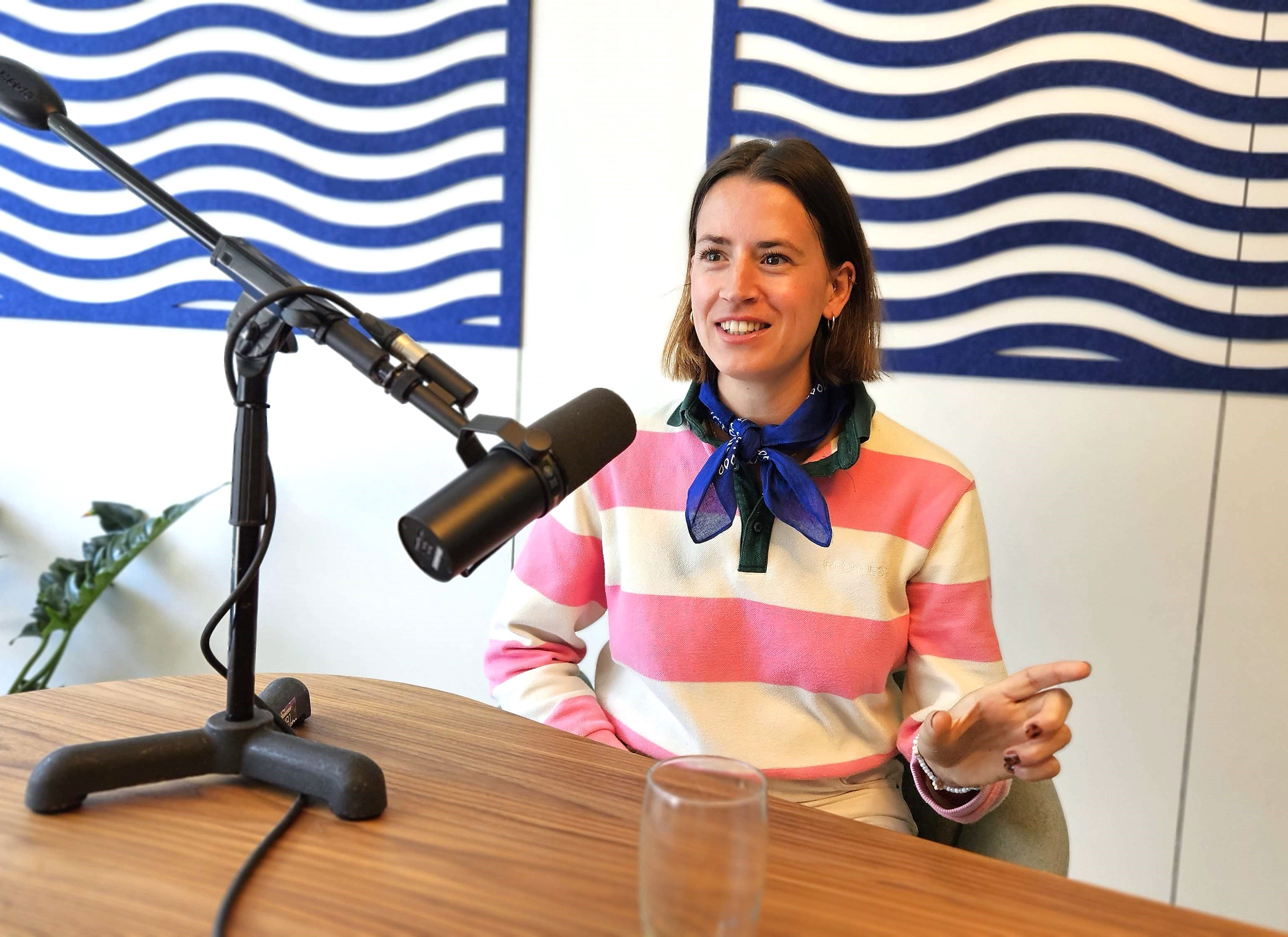 Sabsjul in de podcast Trash or Treasure